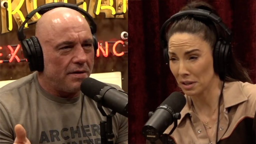 The Minnesota Somali Daycare Fraud Scandal