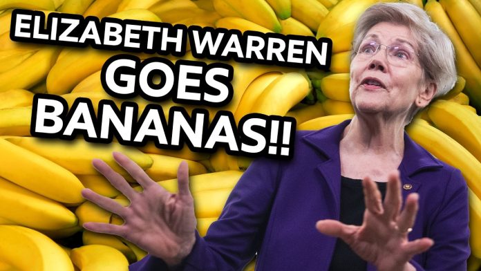 Elizabeth Warren Goes BANANAS Over The Economy!