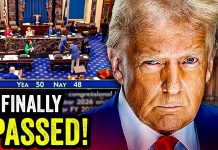 You Won’t BELIEVE What the Senate Just DID!!! You Won’t BELIEVE What the Senate Just DID!!!