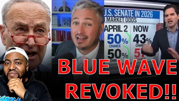 CNN Analyst Delivers NIGHTMARE REALITY CHECK To Democrats As Marxist Civil War TANKS Blue Wave!