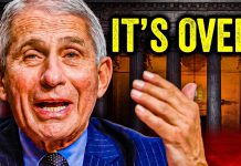 Fauci Just COLLAPSED In Front of the ENTIRE NATION!!! Fauci Just COLLAPSED In Front of the ENTIRE NATION!!!
