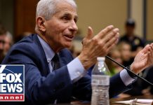Watters: Fauci knew he BLEW IT Watters: Fauci knew he BLEW IT