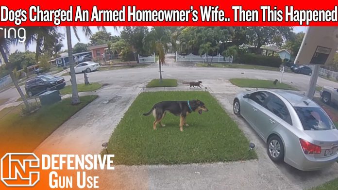maxresdefault-372 His Wife Was Trapped In The Driveway… Then He Came Back Armed